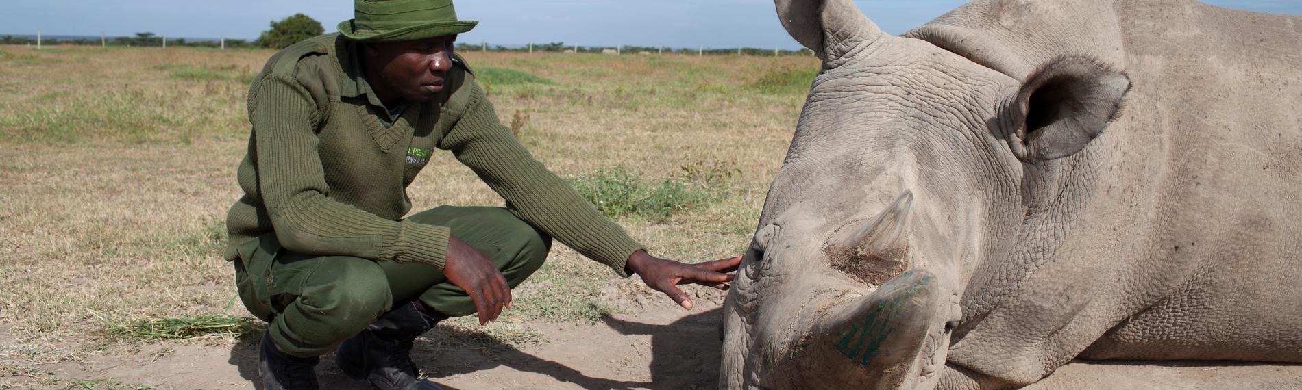 Terra X: Artensterben - Die Fakten
