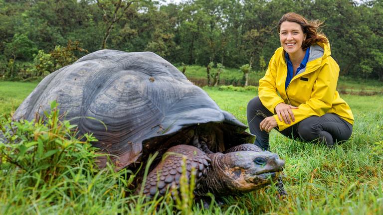 Terra X: Faszination Erde: Galapagos - Inseln der Freaks: Hannah Emde kniet im Gras und lächelt in die Kamera. Sie trägt einen gelben Regenmantel. Im Vordergrund ist eine Riesenschildkröte zu ehen.