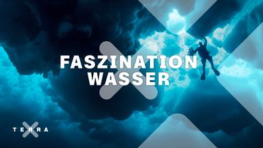 Faszination Wasser