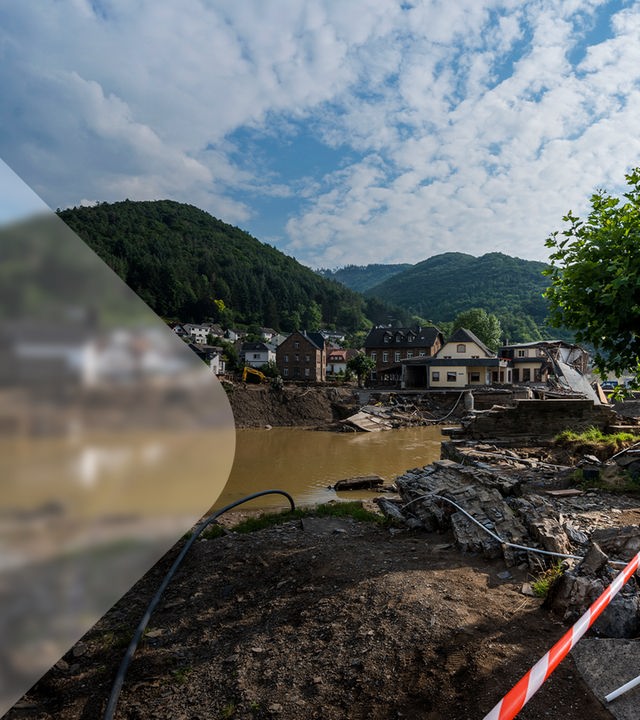Rech nach der Flut im Ahrtal 2021