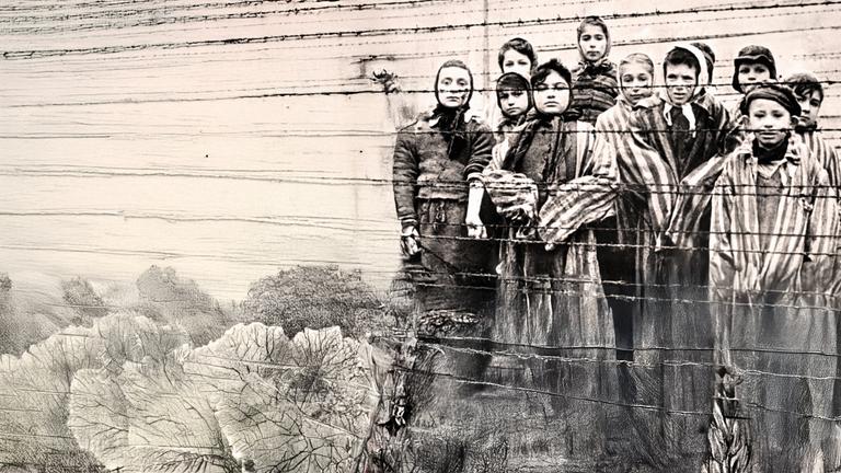 Ein Tag in Auschwitz