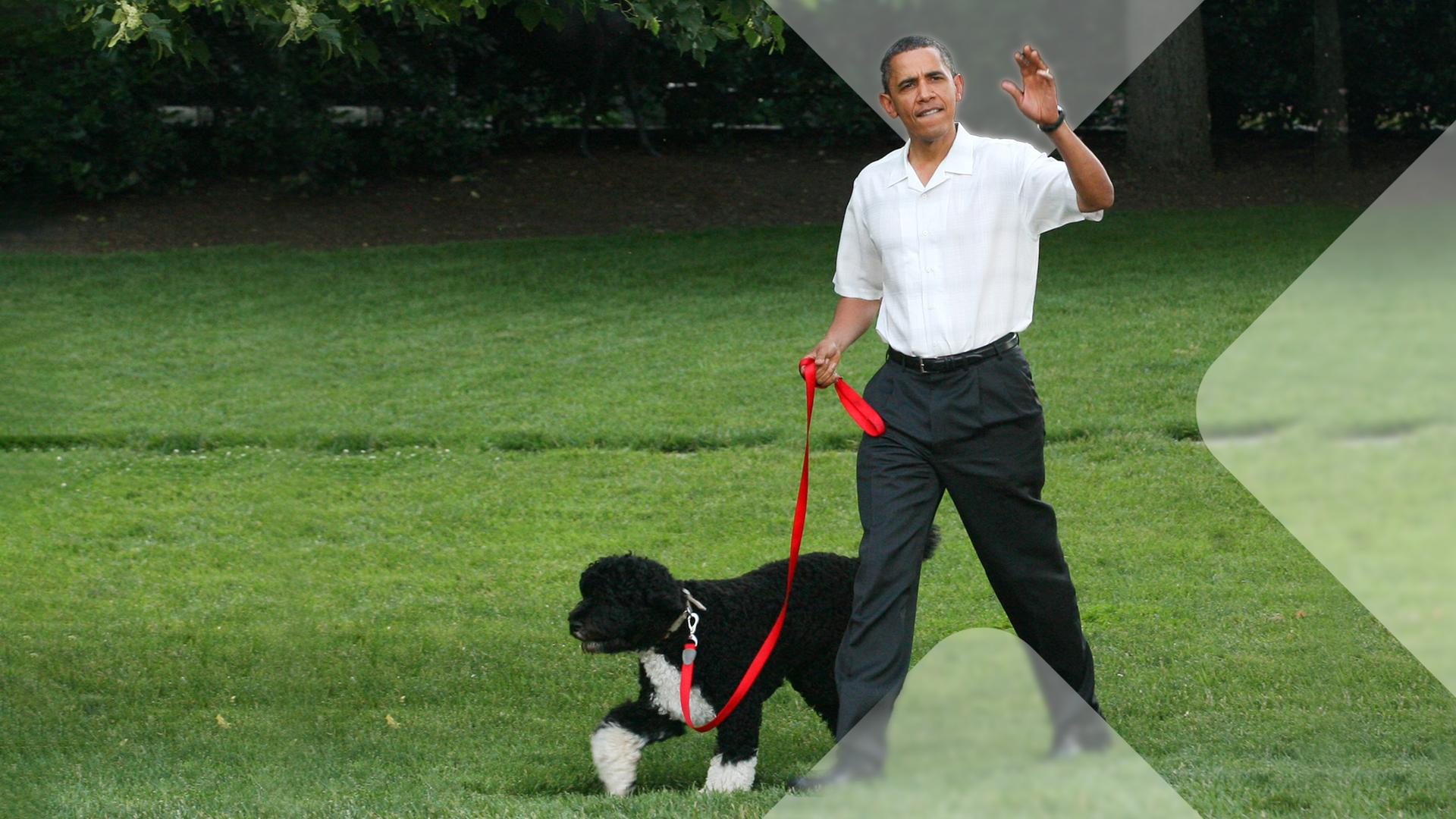 Barack Obama beim Gassigehen mit Hund Bo