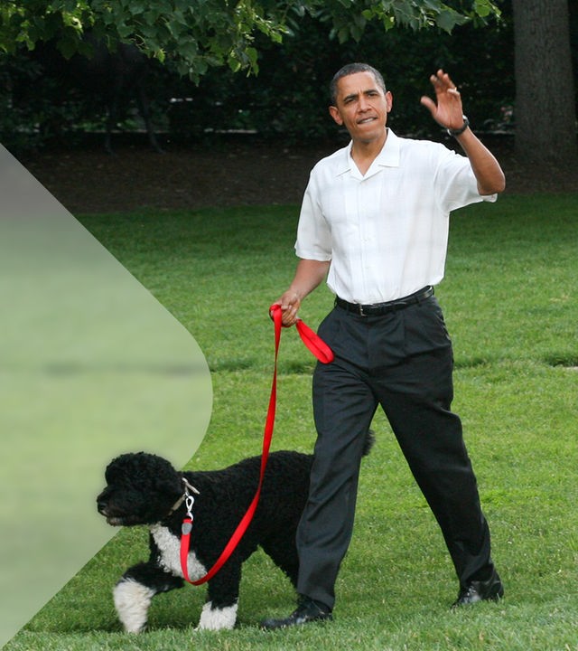 Barack Obama beim Gassigehen mit Hund Bo