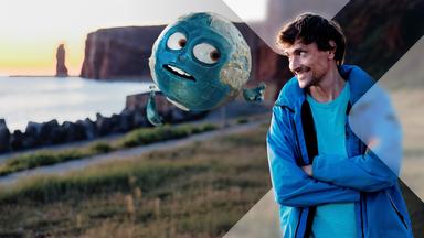 Geisternetz-Jäger und Vogelnot