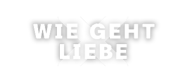 Terra X Liebe logo mittig