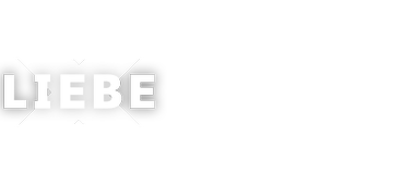Terra X Liebe logo links