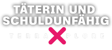Was tun mit psychisch kranken Tätern? | Logo mittig