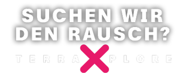 Rausch | Logo mittig