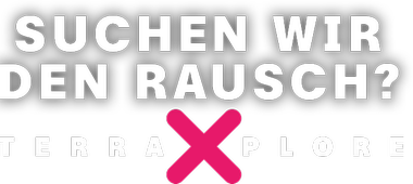 Rausch | Logo links