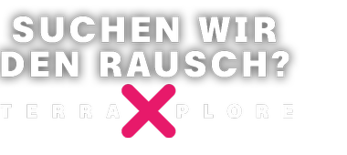 Rausch | Logo links