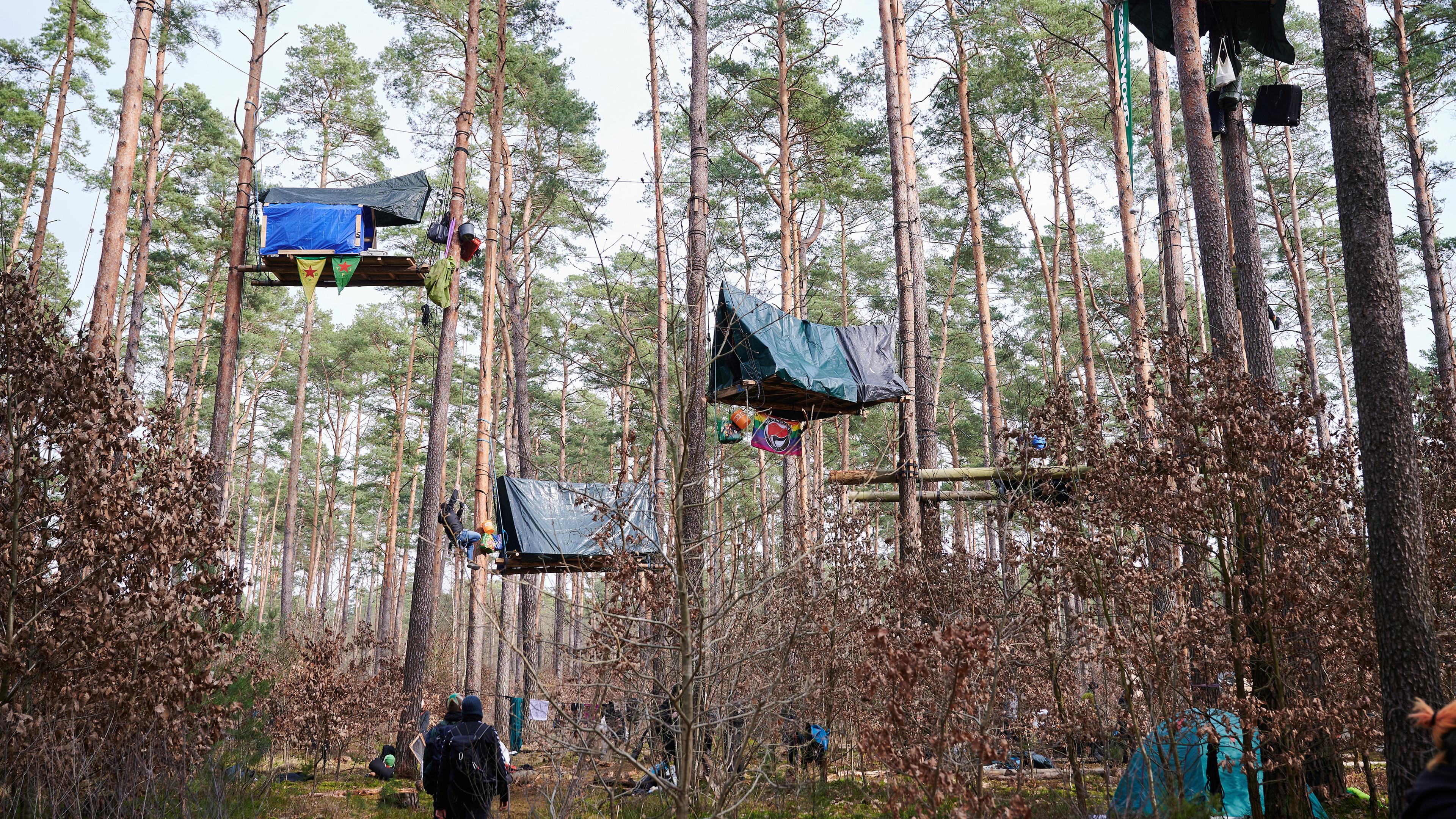  Baumhäuser hängen als Protestaktion in den Bäumen.