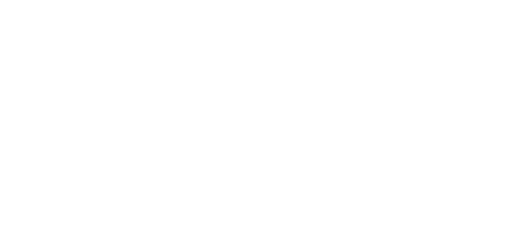 The Mallorca Files
