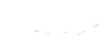 The Perfect Mother