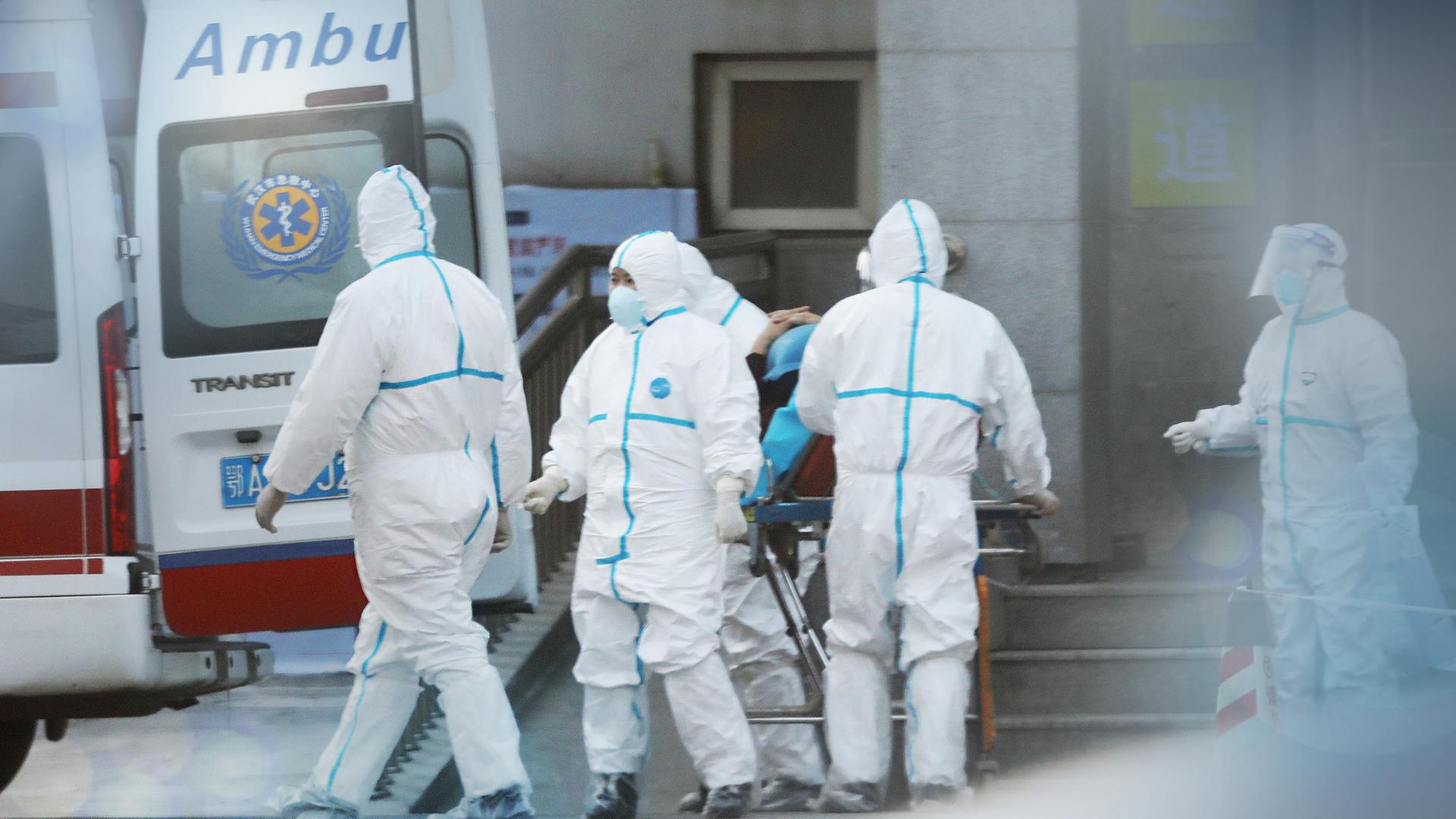 Themenschwerpunkt Seuche