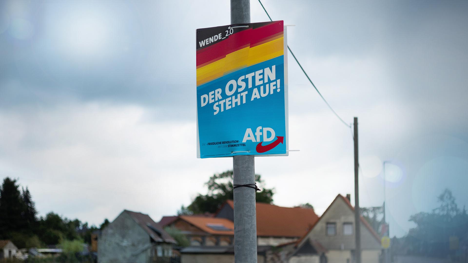 Plakat der AfD