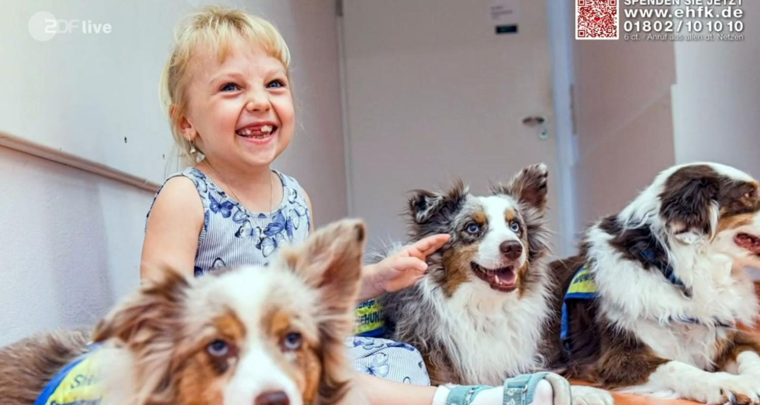 Therapiehunde helfen kranken Kindern bei der Genesung