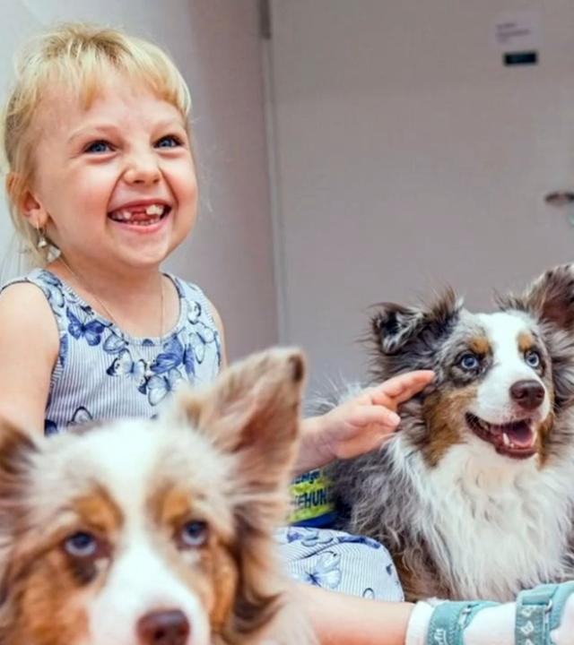 Therapiehunde helfen kranken Kindern bei der Genesung