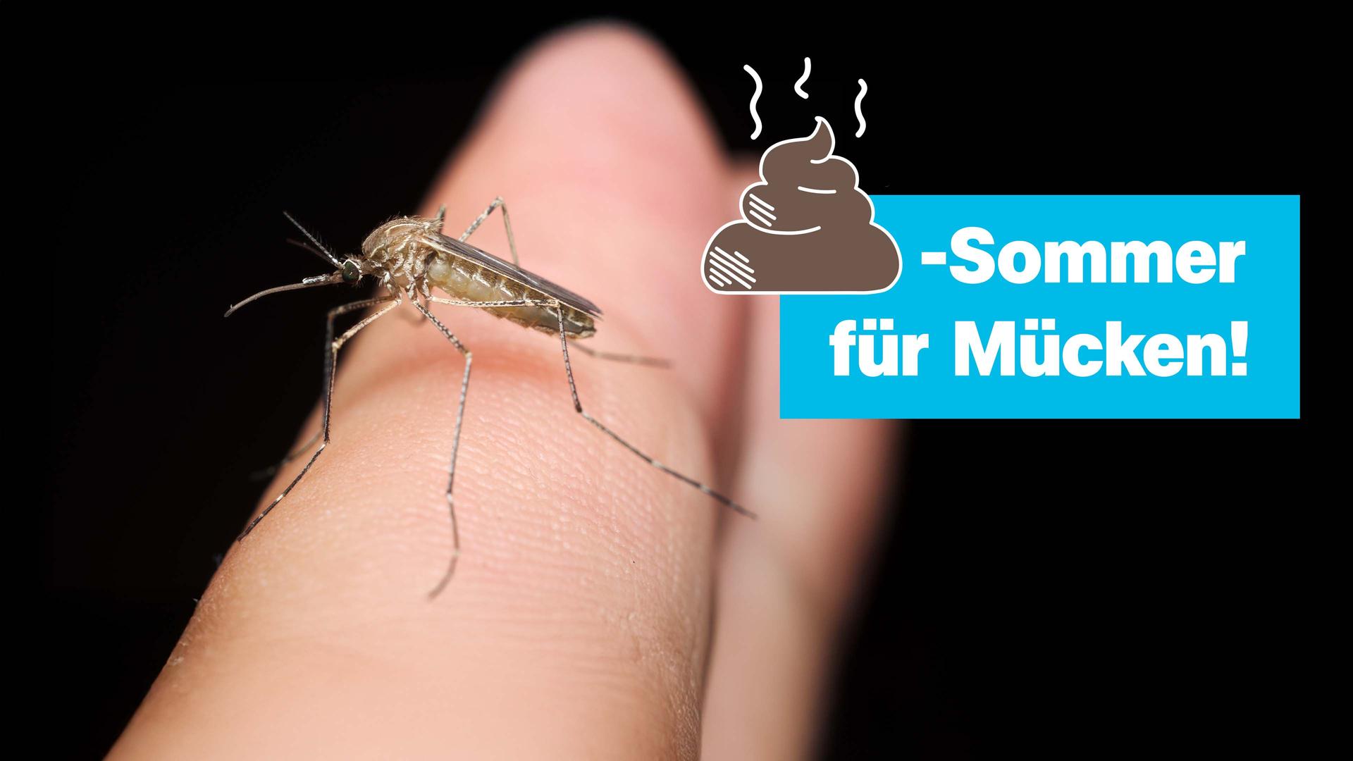 Eine Mücke sitzt auf einem Finger. 