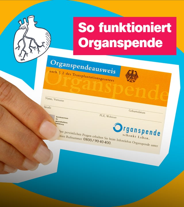 Eine Hand, die einen Organspendeausweis hält und ein grafisches, realistisches Herz. 