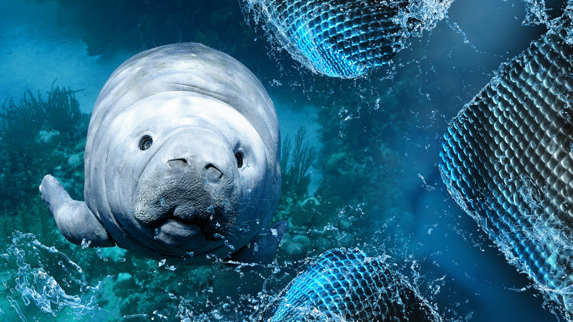 Tiere und Robottertiere im Meer