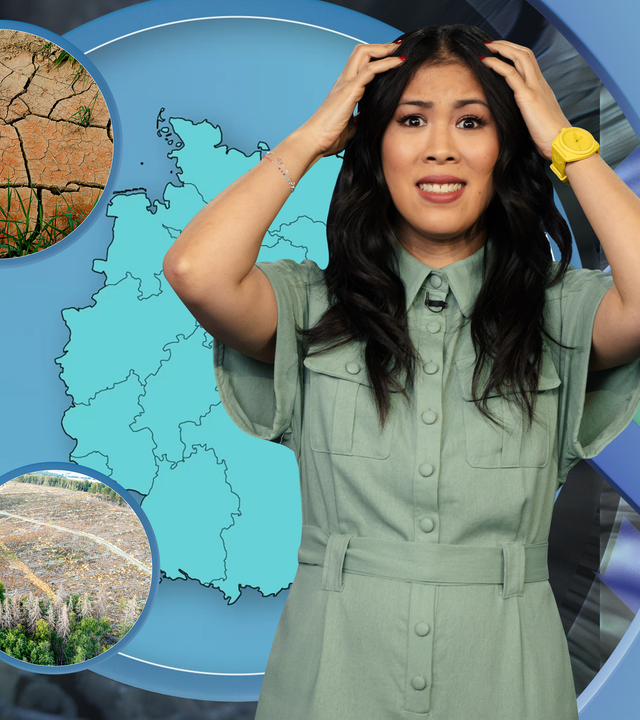 Mai Thi Nguyen-Kim greift sich gestresst mit beiden Händen an den Kopf. Links von ihr sind verschiedene Abbildungen von ausgetrocknetem Boden und verdorrten Feldern zu sehen, dahinter eine Karte von Deutschland.