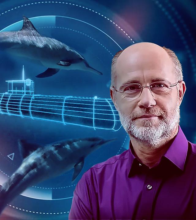 Montage: Harald Lesch vor Delfinen und U-Boot.