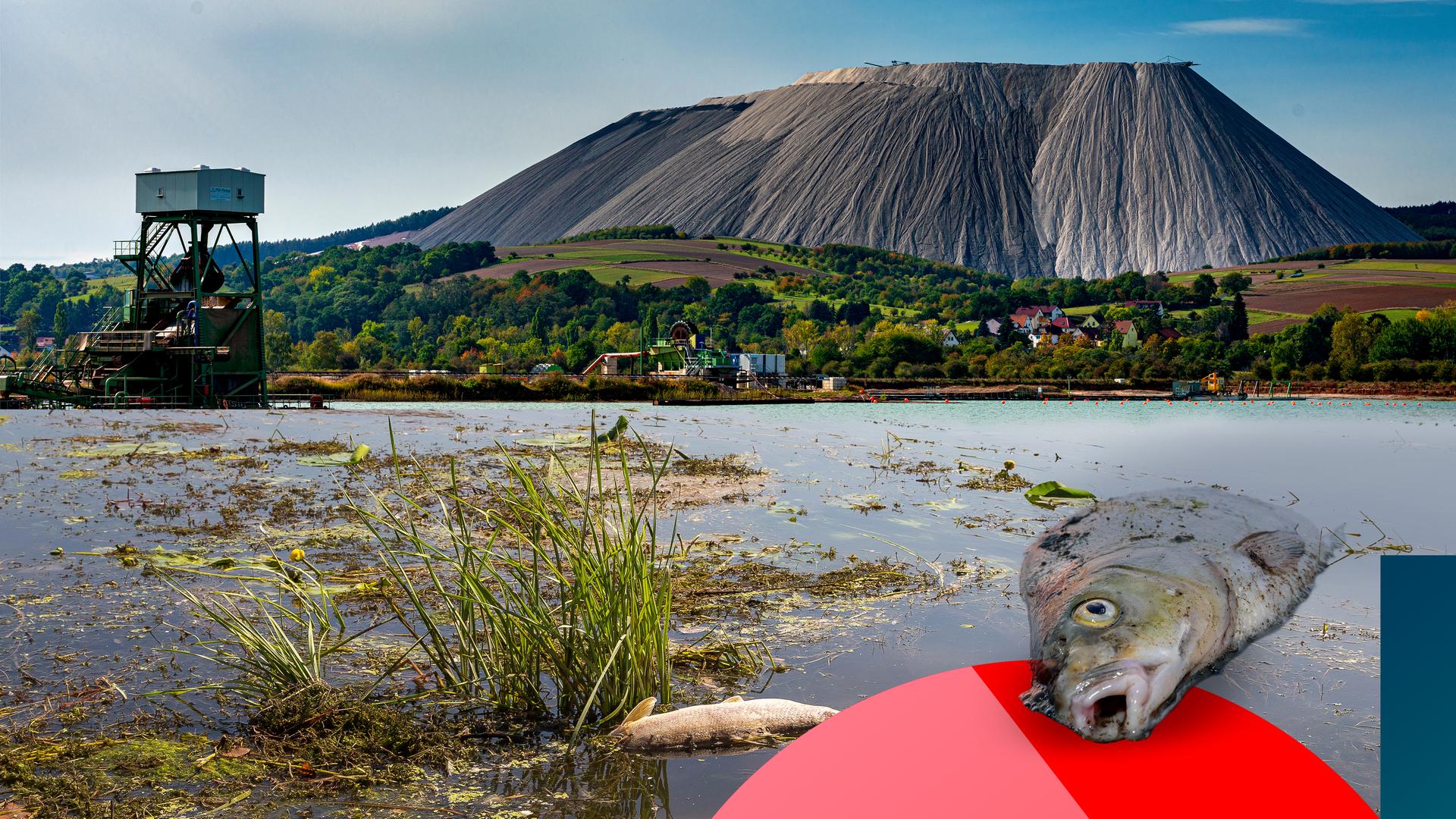 obere Bildhälfte: ein Kaliberg in Thüringen; untere Bildhälfte: ein verschmutztes Gewässer, 2 tote Fische