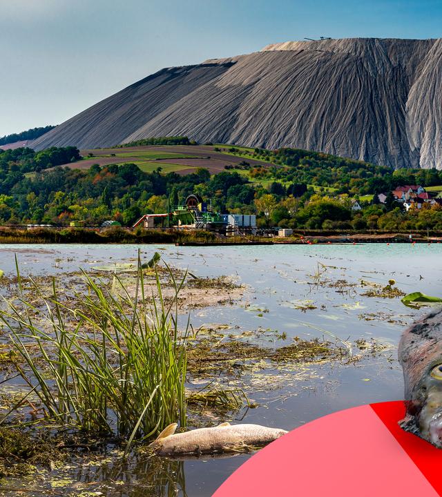 obere Bildhälfte: ein Kaliberg in Thüringen; untere Bildhälfte: ein verschmutztes Gewässer, 2 tote Fische