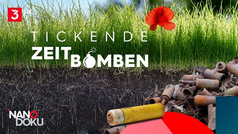 obere Bildhälfte eine grüne Wiese mit einer roten Mohnblume, in der unteren Bildhälfte Erdreich mit Wurzeln, eine Anhäufung verrosteter Munition, eine rostige Batterie