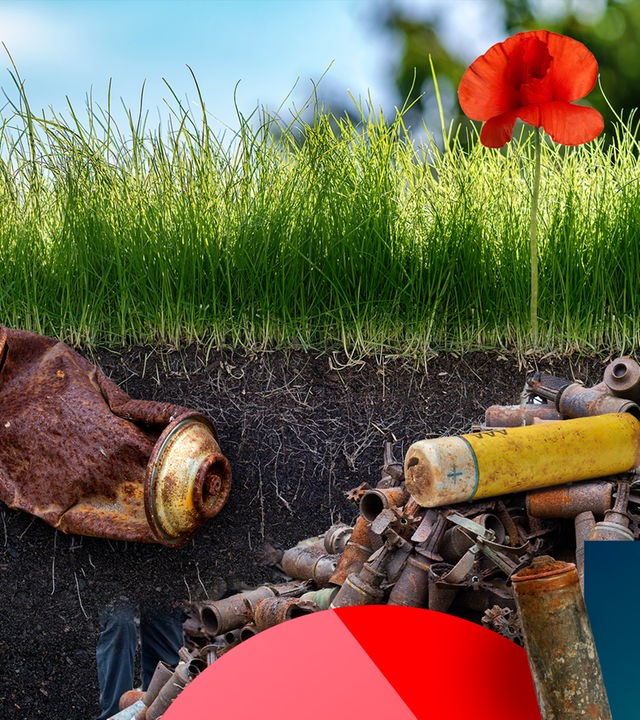 obere Bildhälfte eine grüne Wiese mit einer roten Mohnblume, in der unteren Bildhälfte Erdreich mit Wurzeln, eine Anhäufung verrosteter Munition, eine rostige Batterie