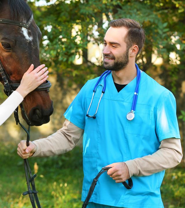 Tierärzte in typischer blauer Tierarztkleidung stehen bei einem Pferd oder kümmern sich liebevoll