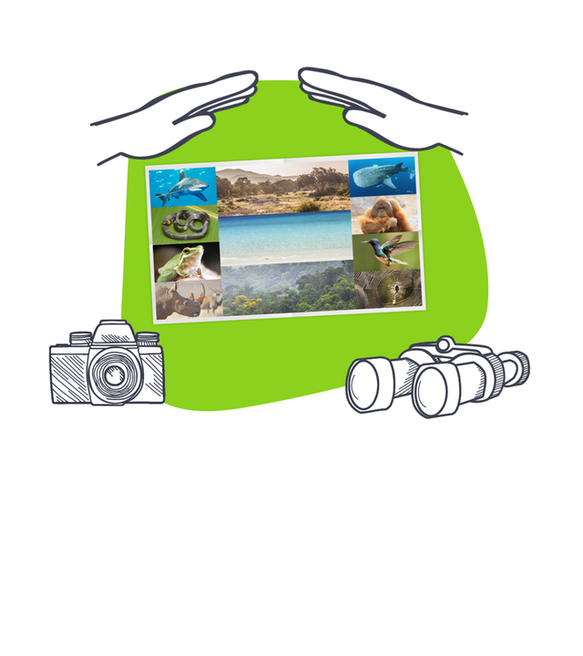Grafik: Tierarten in Mitten, daneben Fotoapparat, Zettel mit Notizen, Fernglas, darüber schützende Hände