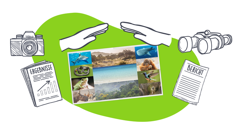 Tiere beobachten für Artenschutz