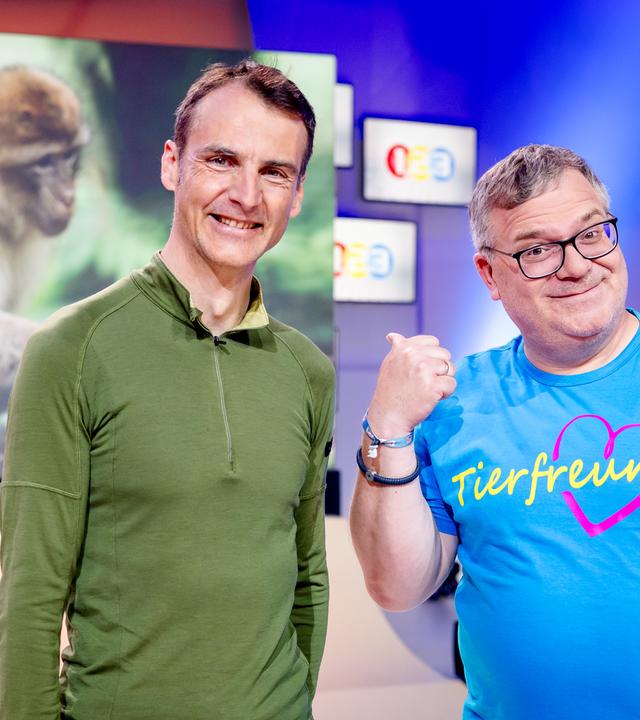 "1, 2 oder 3 - Tierisch toller Nachwuchs": Dr. Roland Hilgartner (l.) und Elton (r.) stehen im Studio vor dem Bild eines Berberaffen, der seinen Nachwuchs auf dem Rücken trägt.