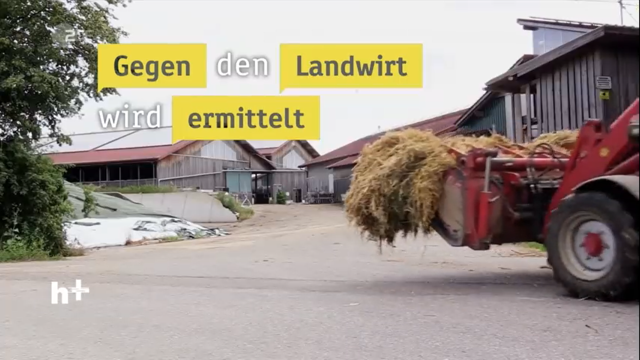 Tierquälerei im Milchbetrieb