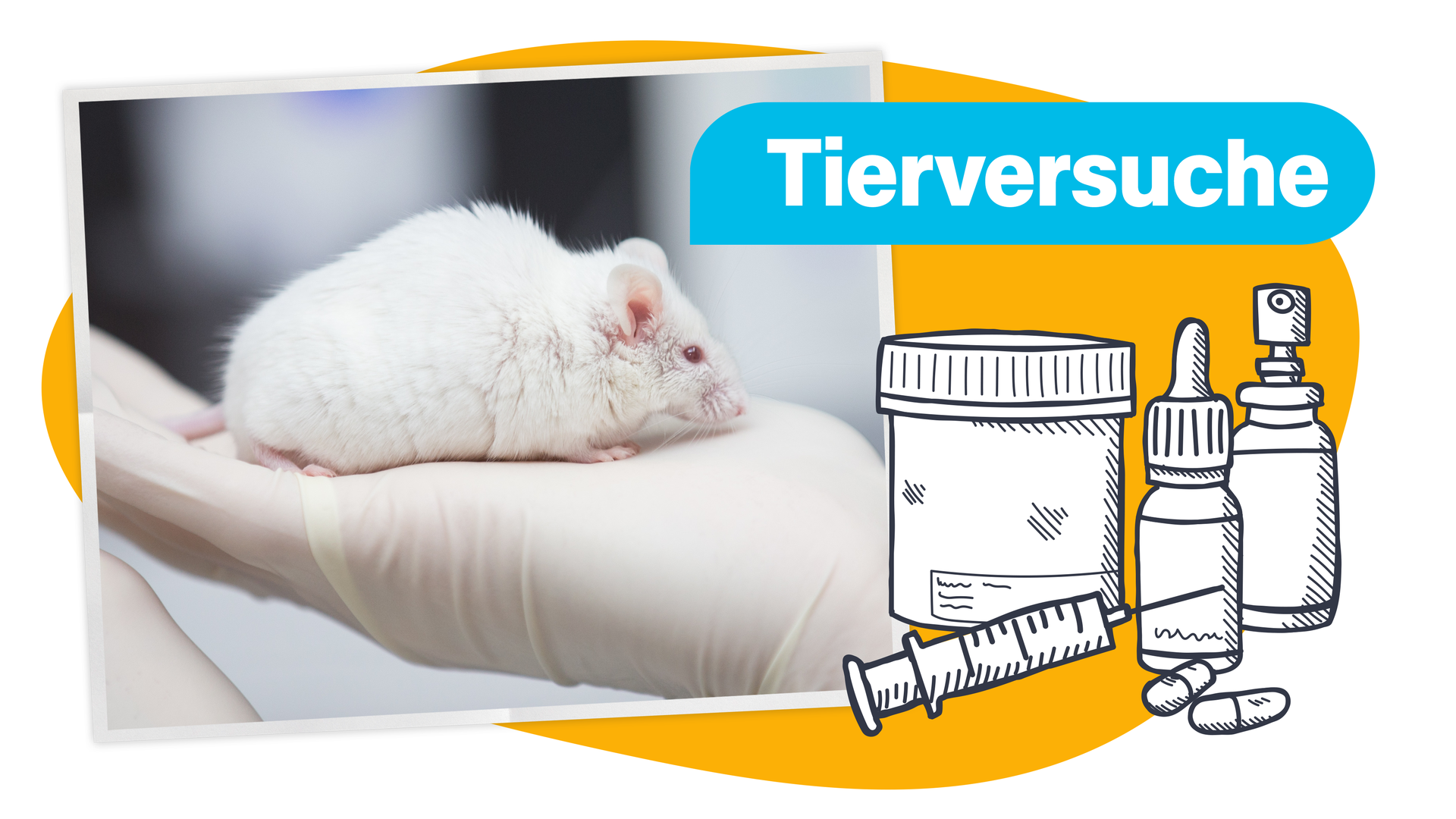 Bild für Tierversuche: Muss das sein?