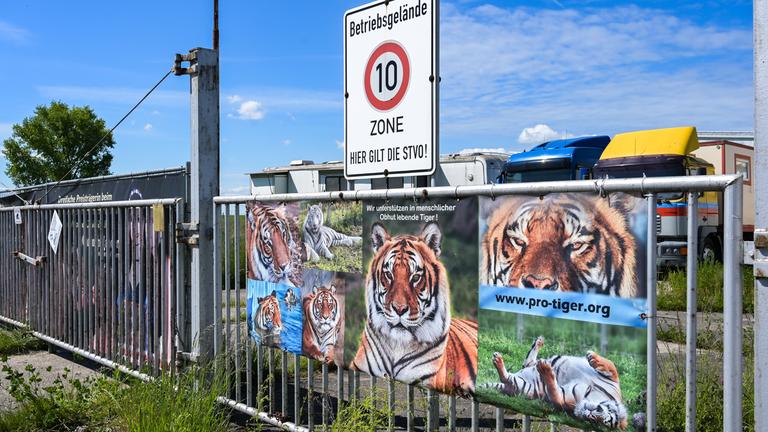 Ein Werbetransparent mit Tigerfotos hängt am Tor zu dem Gelände, wo Tiger gehalten werden.