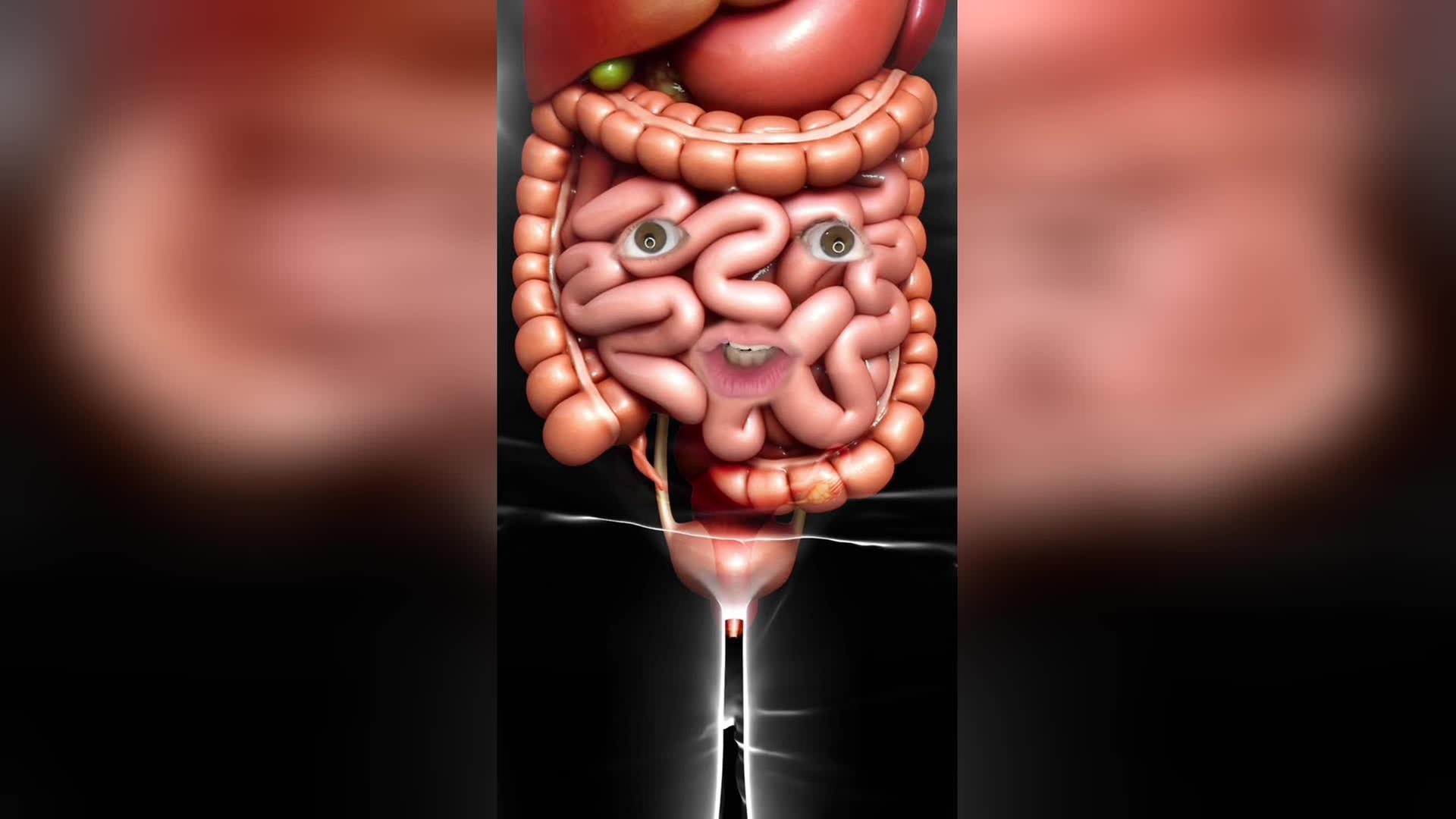 Eine 3D-animierte Darstellung der Organe im Bauch. Der Dünndarm hat menschliche Augen und Mund und schaut dümmlich drein. 
