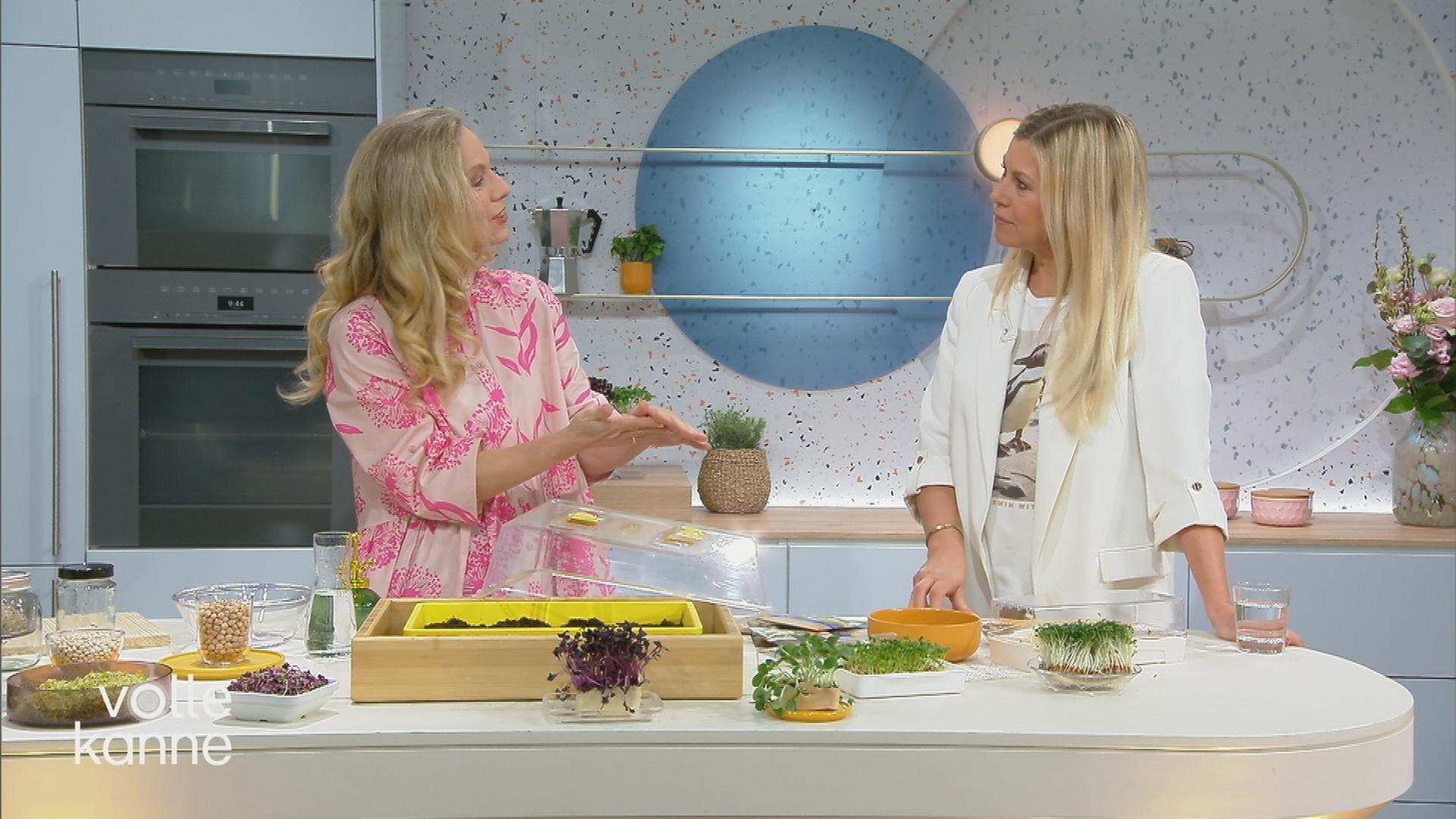 Anja Koenzen im Gespräch mit Nadine Krüger zum Anbau von Microgreens.