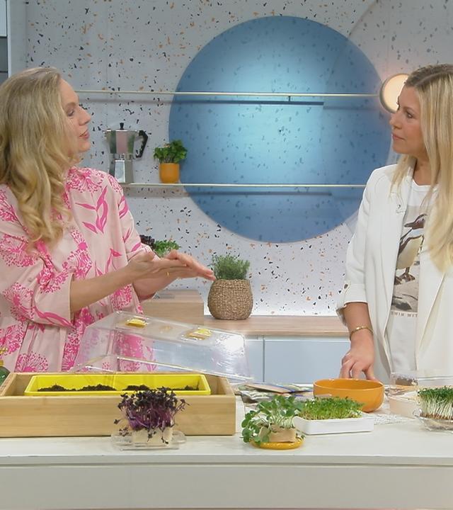 Anja Koenzen im Gespräch mit Nadine Krüger zum Anbau von Microgreens.
