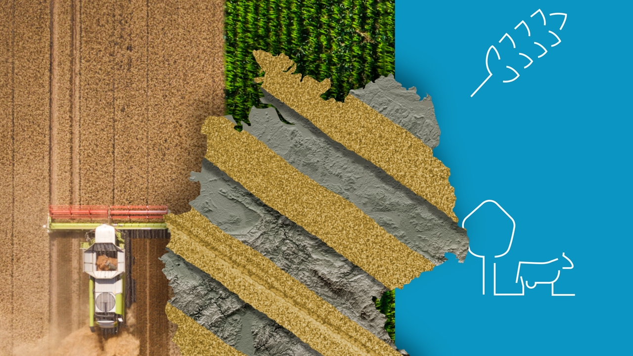 Landwirtschaft in Deutschland ZDFheute