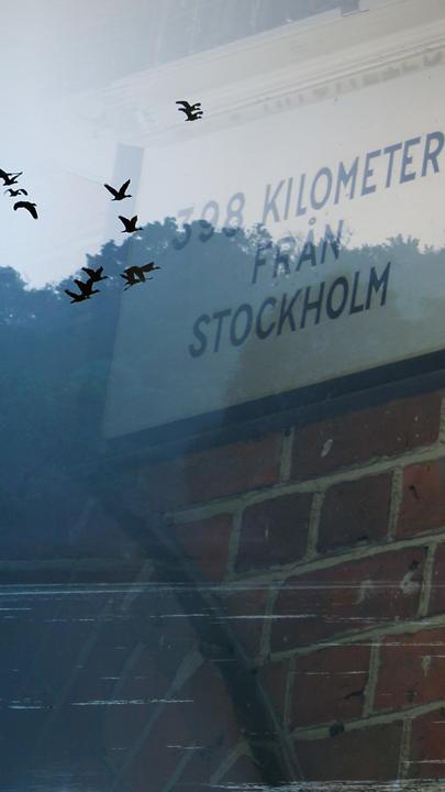 Montage. Rechts im Bild ist eine Hauswand mit dem Ortsschild der schwedischen Stadt Arvika zu sehen, links ein See, über den mehrere Vögel fliegen.