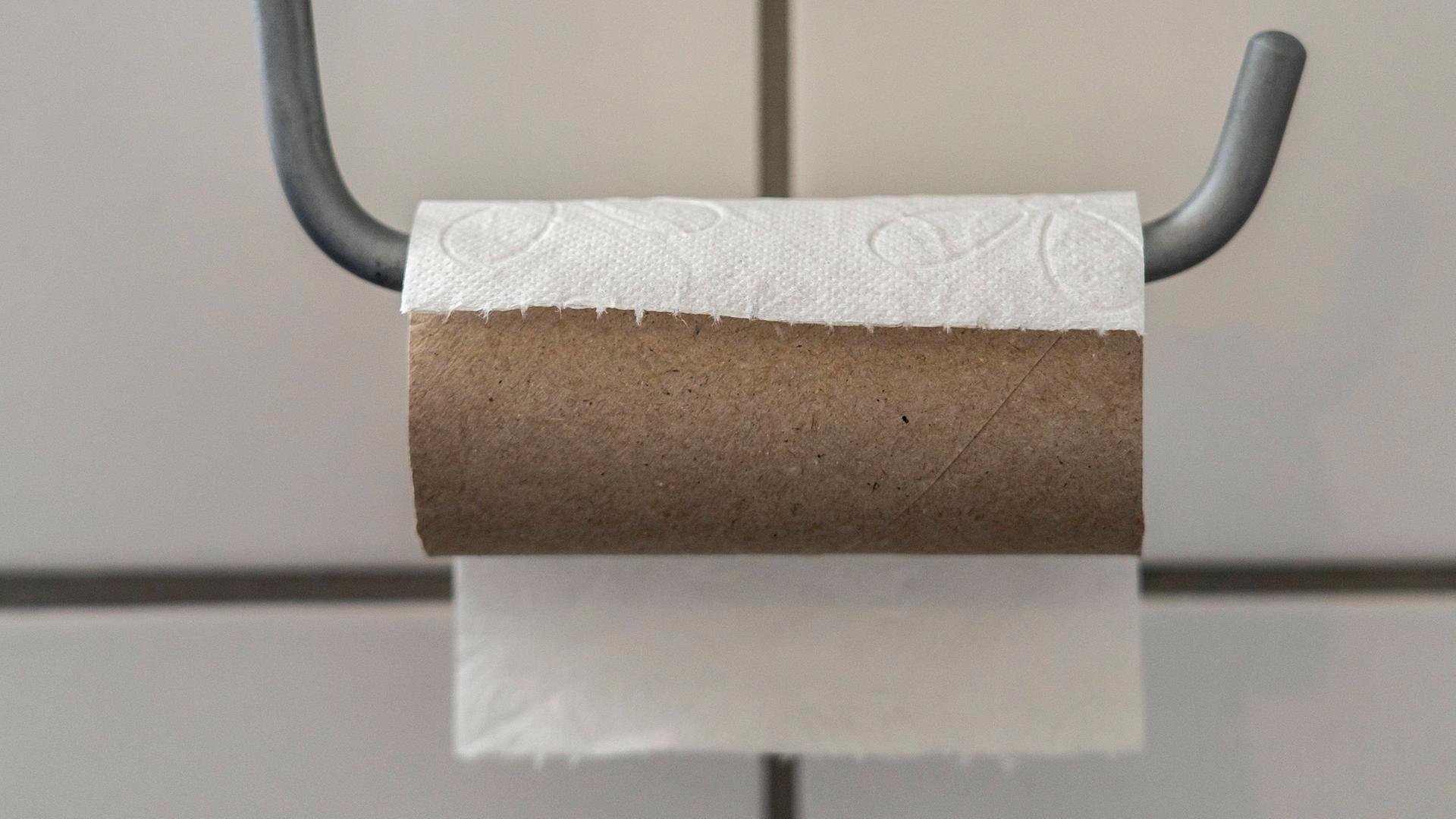 Logo!: Alternativen Zum Klopapier - Zdftivi