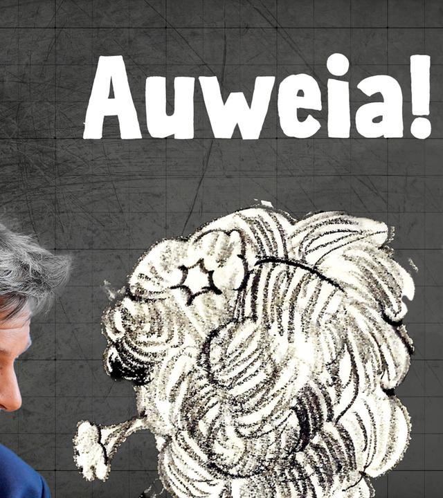 Robert Habeck, links, und Christian Lindner, rechts, stehen sich in Profilaufnahmen gegenüber, darüber Bildüberschrift "Auweia!"