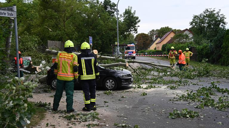 Ein umgestürzter Baum liegt nach einem Unwetter in Fürstenwalde-Süd auf einem Auto.