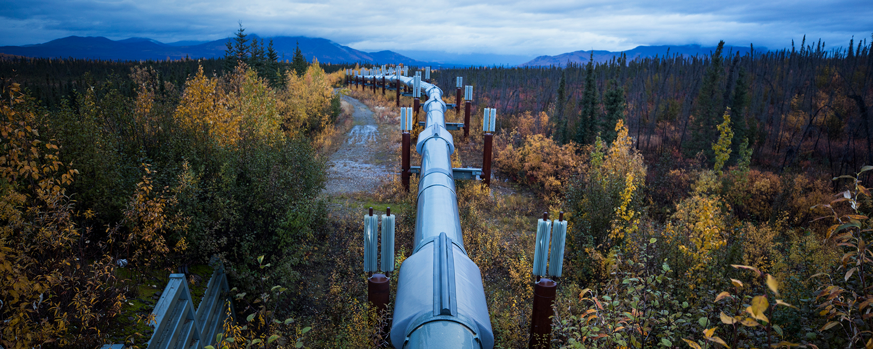 Trans-Alaska Pipeline