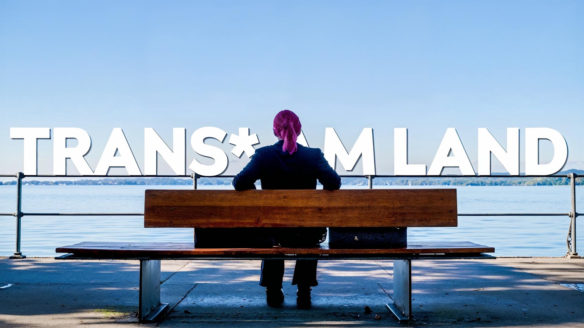 Eine Person mit pinkem Haar sitzt mit dem Rücken zur Kamera auf einer Bank am Seeufer. Über dem See ist der Schriftzug TRANS* AM LAND in großen weißen Buchstaben eingeblendet.