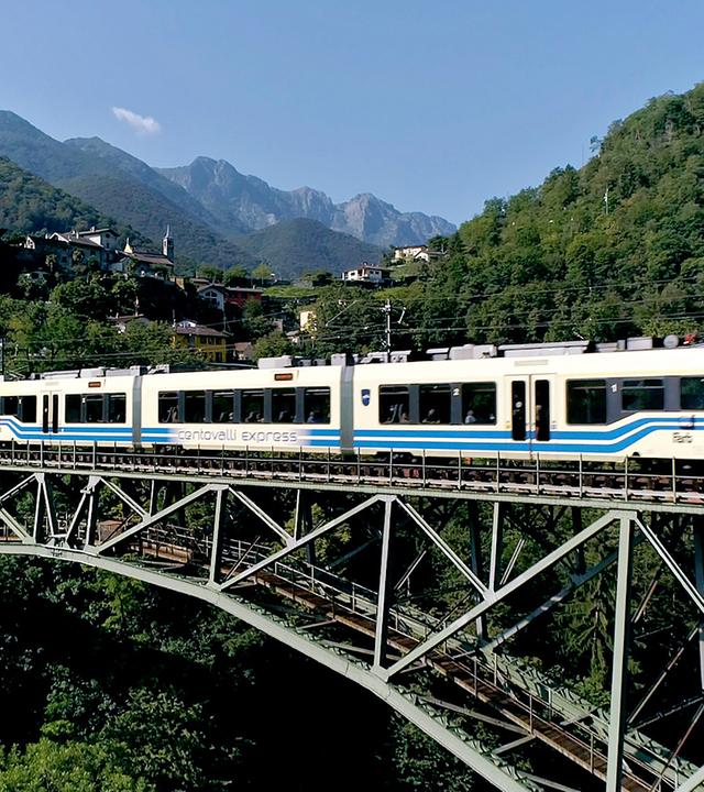 Zug auf einer Stahlbrücke, im Hintergrund Dorfkulisse
