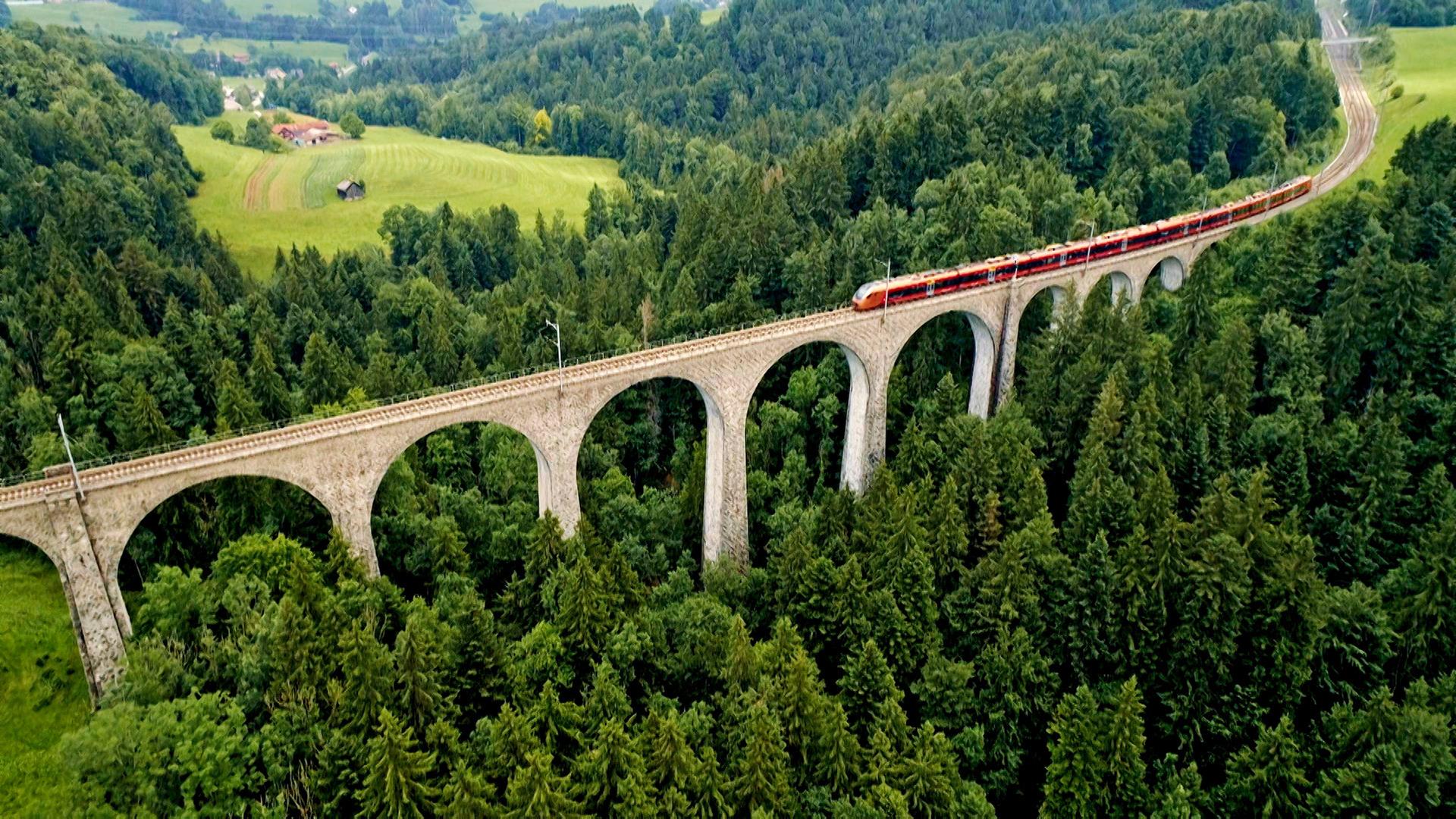 Zug auf einem Viadukt, von oben gesehen