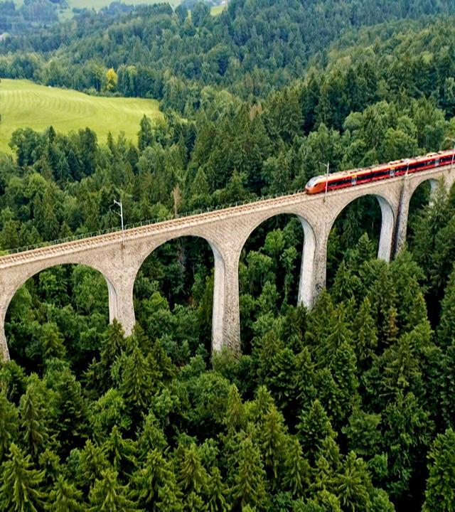 Zug auf einem Viadukt, von oben gesehen